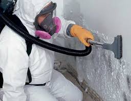 Best HVAC Mold Inspection and Cleaning  in Mentor, OH